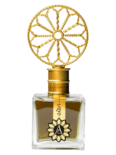 Angela Ciampagna Liquo