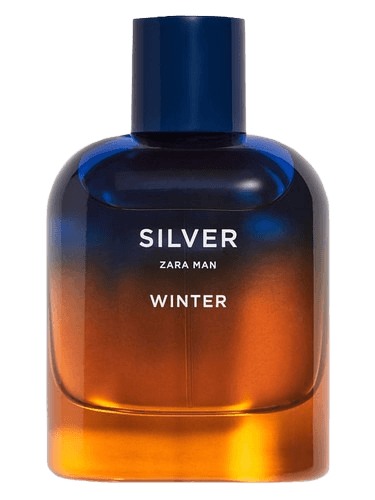 Zara Silver Winter Zara Man