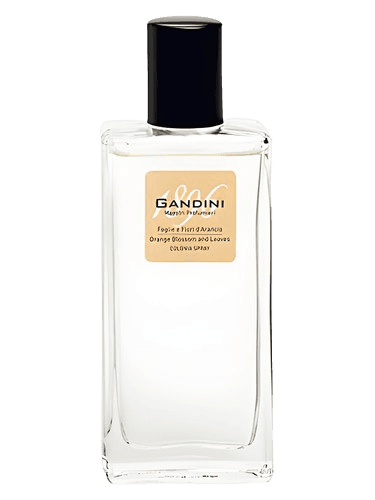 Gandini 1896 Orange Blossom and Leaf
