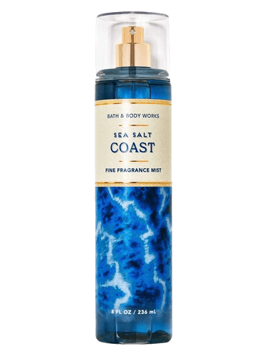 Bath & Body Works Sea Salt Coast