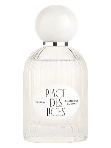 Place des Lices Blanc des Cotons