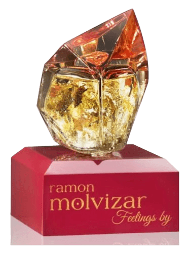 Ramon Molvizar Feelings