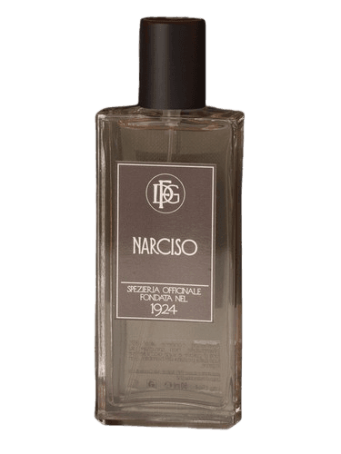 DFG1924 Narciso