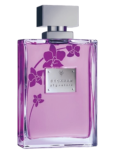 David Beckham Signature for Her