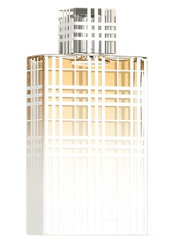 Burberry Brit Summer