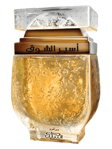 Nabeel Aseer Al Shawq Bronze