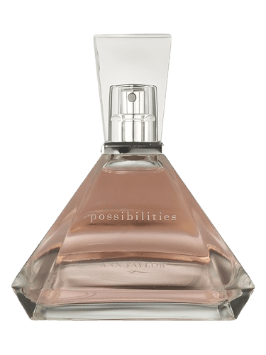 Ann Taylor Possibilities