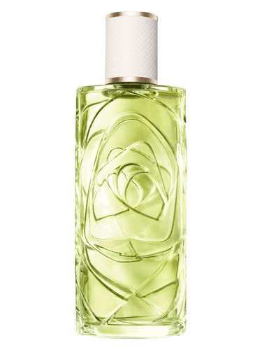 Lancôme Ôff Now