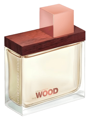 DSQUARED² She Wood Velvet Forest Wood