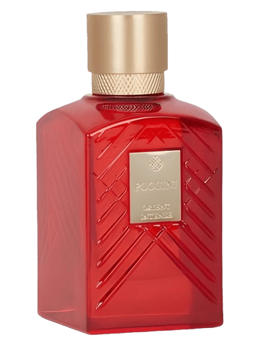 Puccini Paris Orient Intense