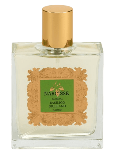 Narcisse Taormina Basilico Siciliano