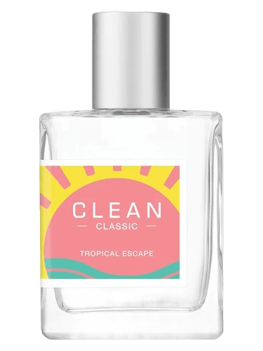 Clean Tropical Escape