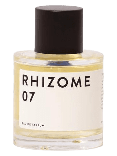 Rhizome Rhizome 07