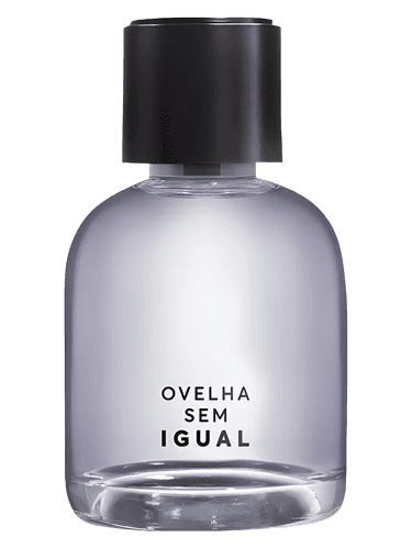 Quem Disse Berenice Ovelha Sem Igual