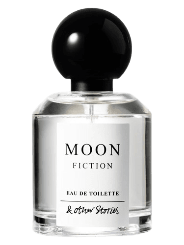 And Other Stories Moon Fiction