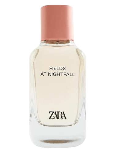 Zara Fields at Nightfall 2020