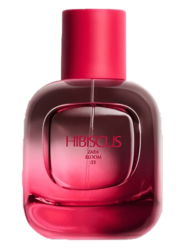 Zara Hibiscus