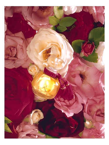 Les Parfums de Rosine La Rose Legere