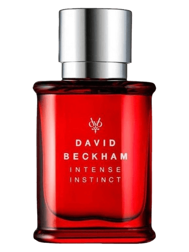 David Beckham Intense Instinct