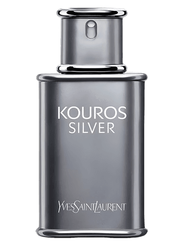 Yves Saint Laurent Yves Saint Laurent Kouros Silver
