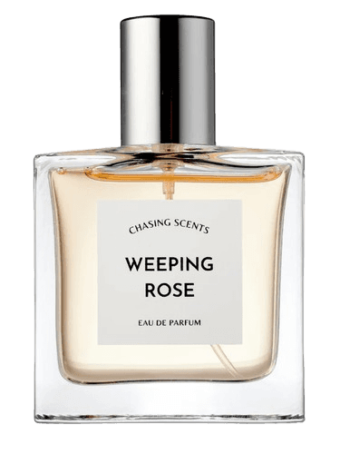 Chasing Scents Weeping Rose