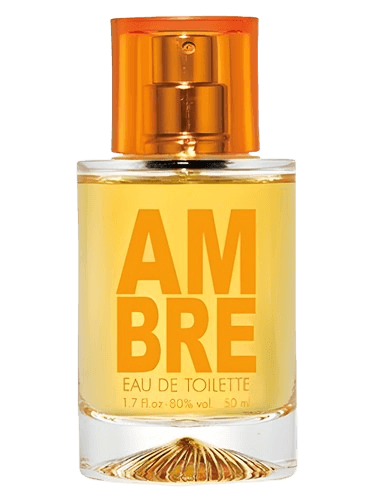 Solinotes Ambre