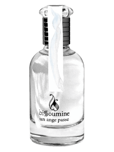 Bissoumine Un Ange Passe