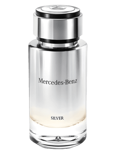 Mercedes-Benz Mercedes-Benz Silver