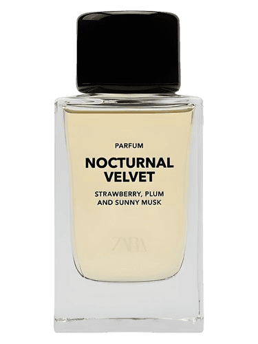 Zara Nocturnal Velvet