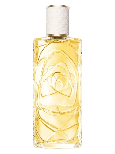 Lancôme Ô Zenith