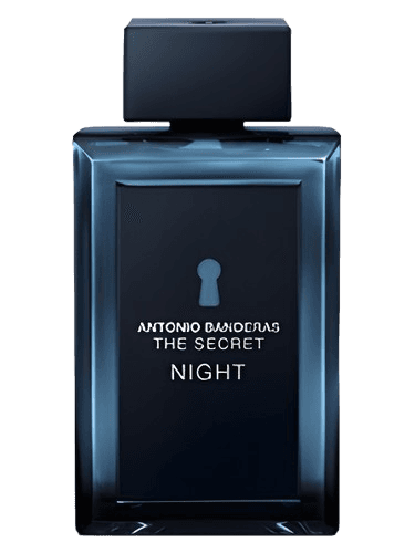 Antonio Banderas The Secret Night