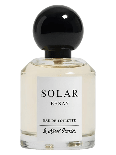 And Other Stories Solar Essay