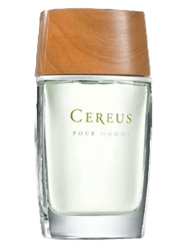 Cereus Cereus No.5