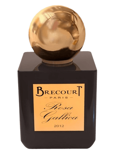 Brecourt Rosa Gallica