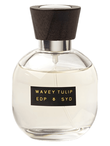 SYD Botanica Wavey Tulip