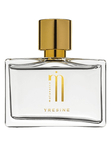 Malanotte Yresine