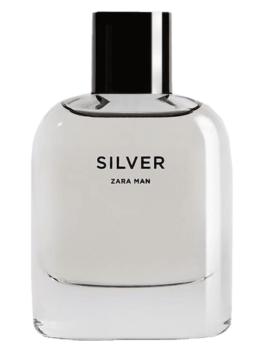 Zara Silver