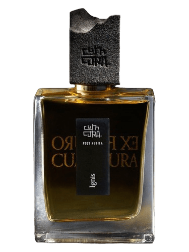 Cum Cura Ignis