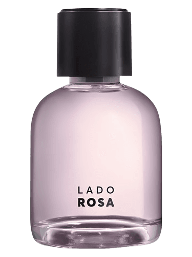 Quem Disse Berenice Lado Rosa