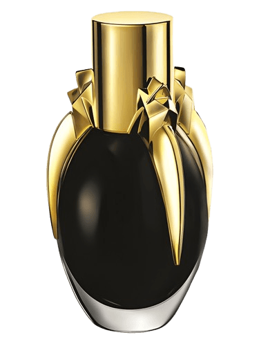 Lady Gaga Fame