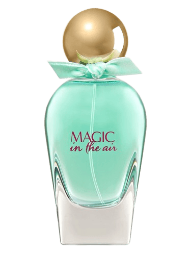 Bath & Body Works Magic In The Air