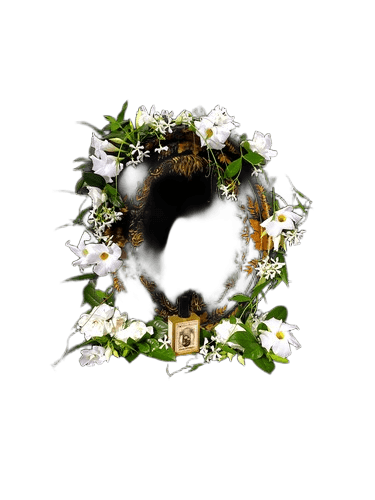 Solstice Scents Flowers Nocturnal