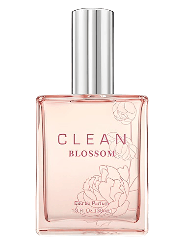 Clean Clean Blossom