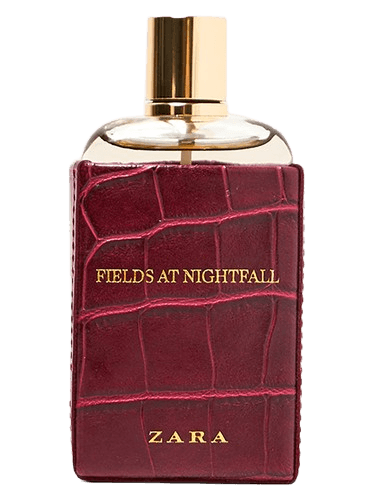 Zara Fields at Nightfall 2018