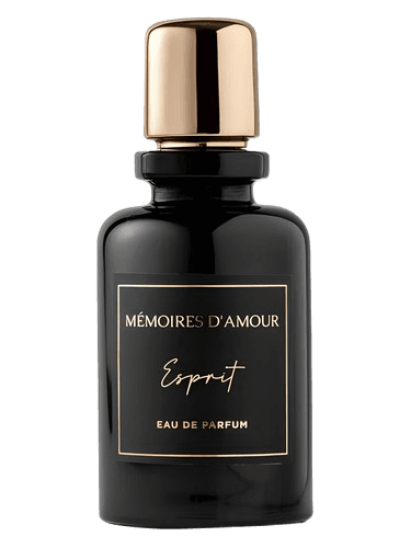 Mémoires D'amour Esprit