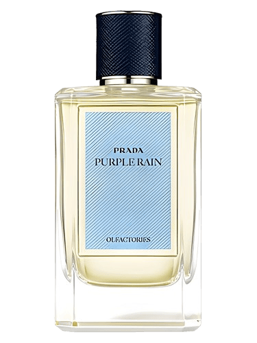 Prada Purple Rain