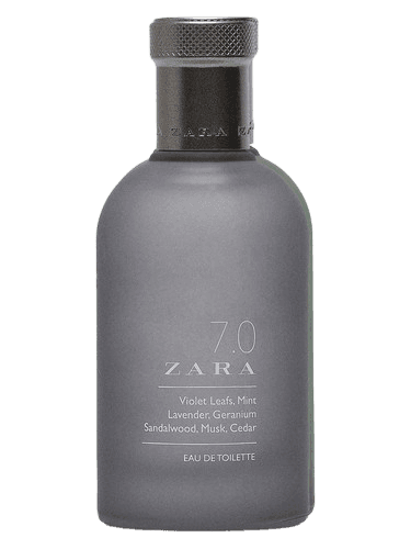 Zara 7.0 Zara
