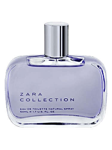 Zara Zara Collection Woman