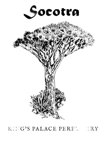 King's Palace Perfumery Socotra
