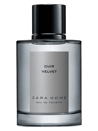 Zara Home Cuir Velvet